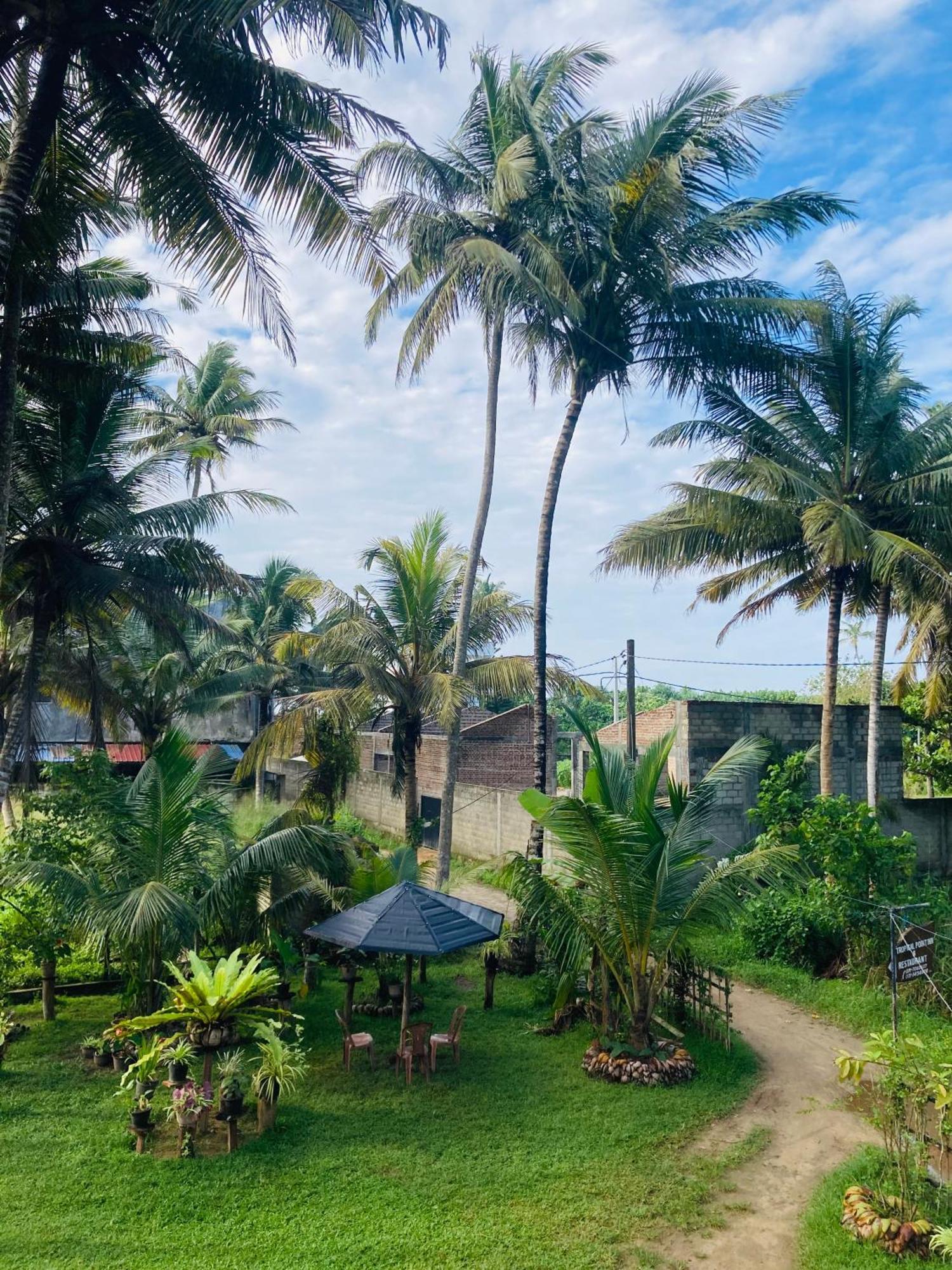 Tropical Point Inn マータラ エクステリア 写真